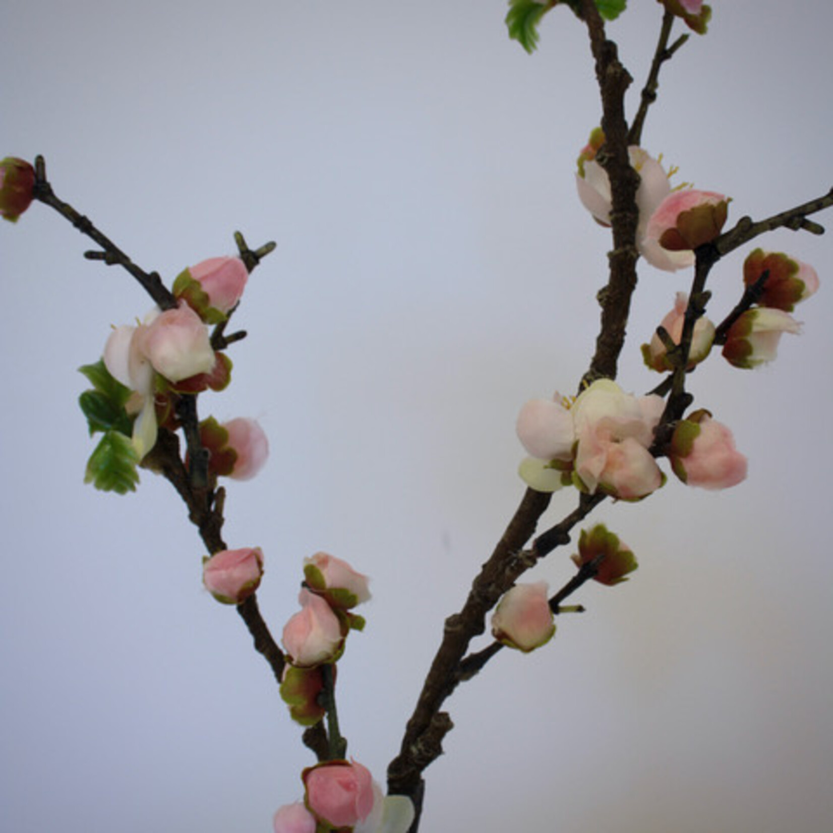 PRUIMEN BLOESEM  | ROZE | 45 CM