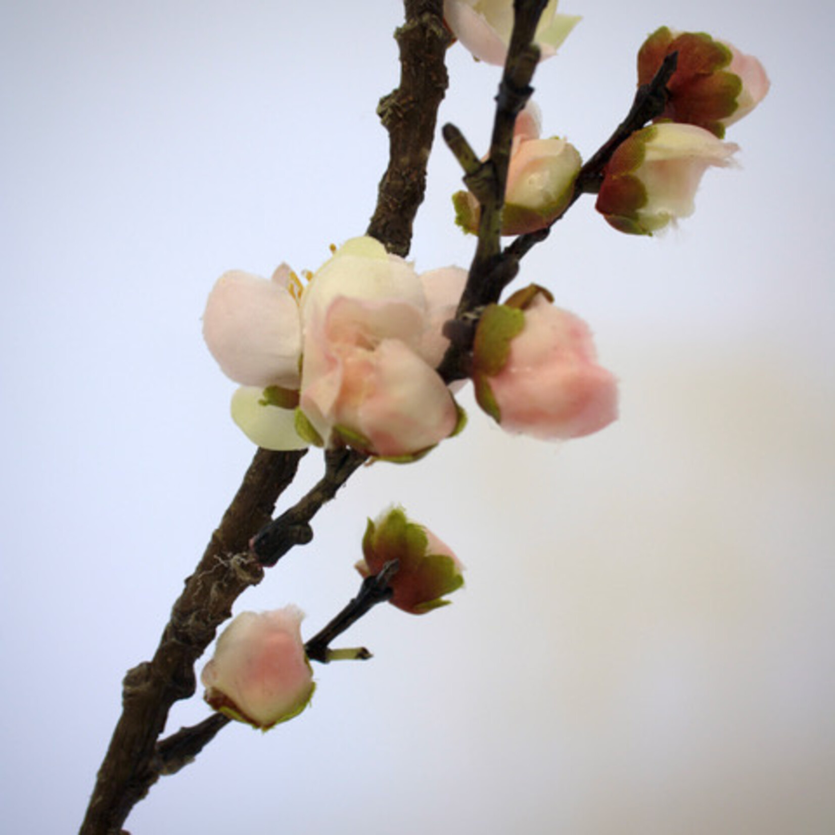 BLOSSOM PLUM| PINK | 45 CM