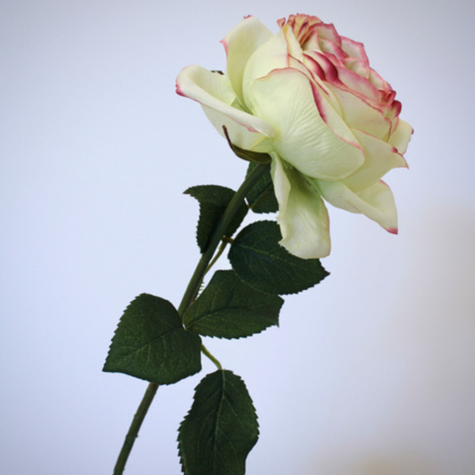 ROOS BONITA | YELLOW | 38 CM