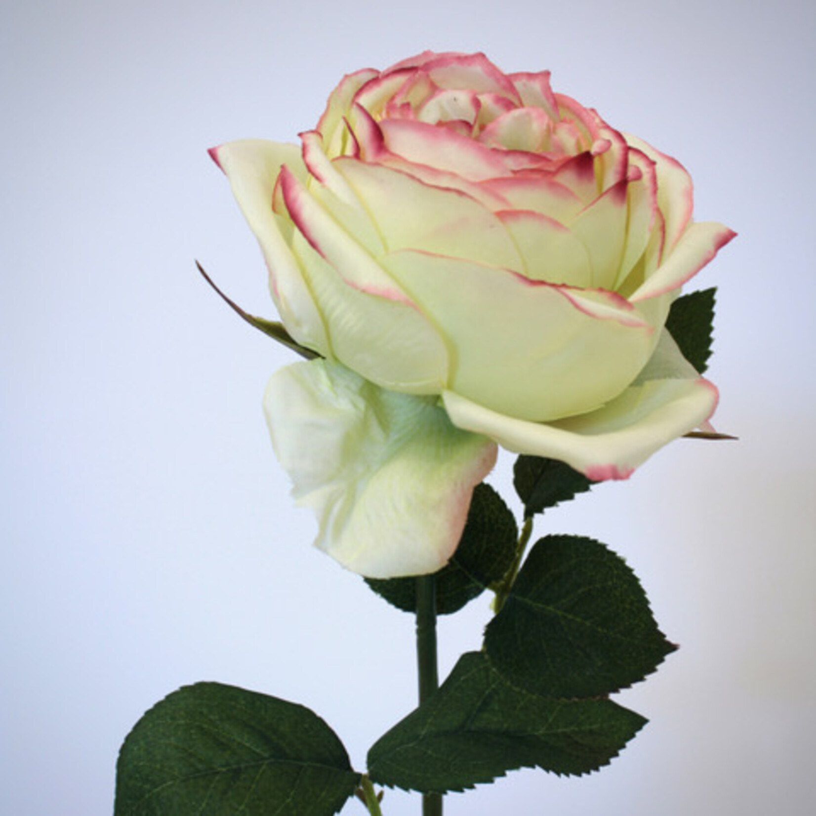 ROOS BONITA | GEEL | 38 CM