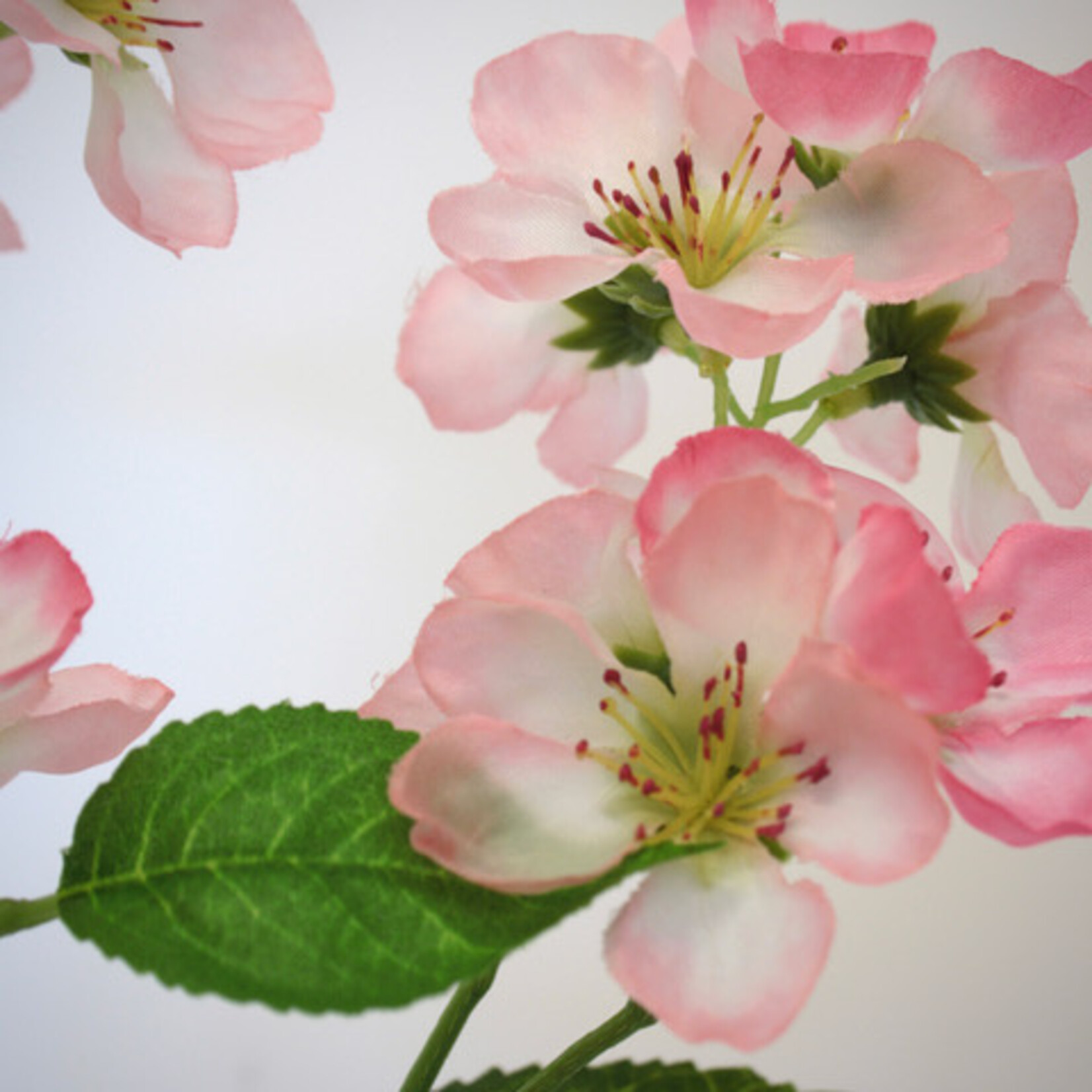 BLOESEM | ROZE | 69 CM
