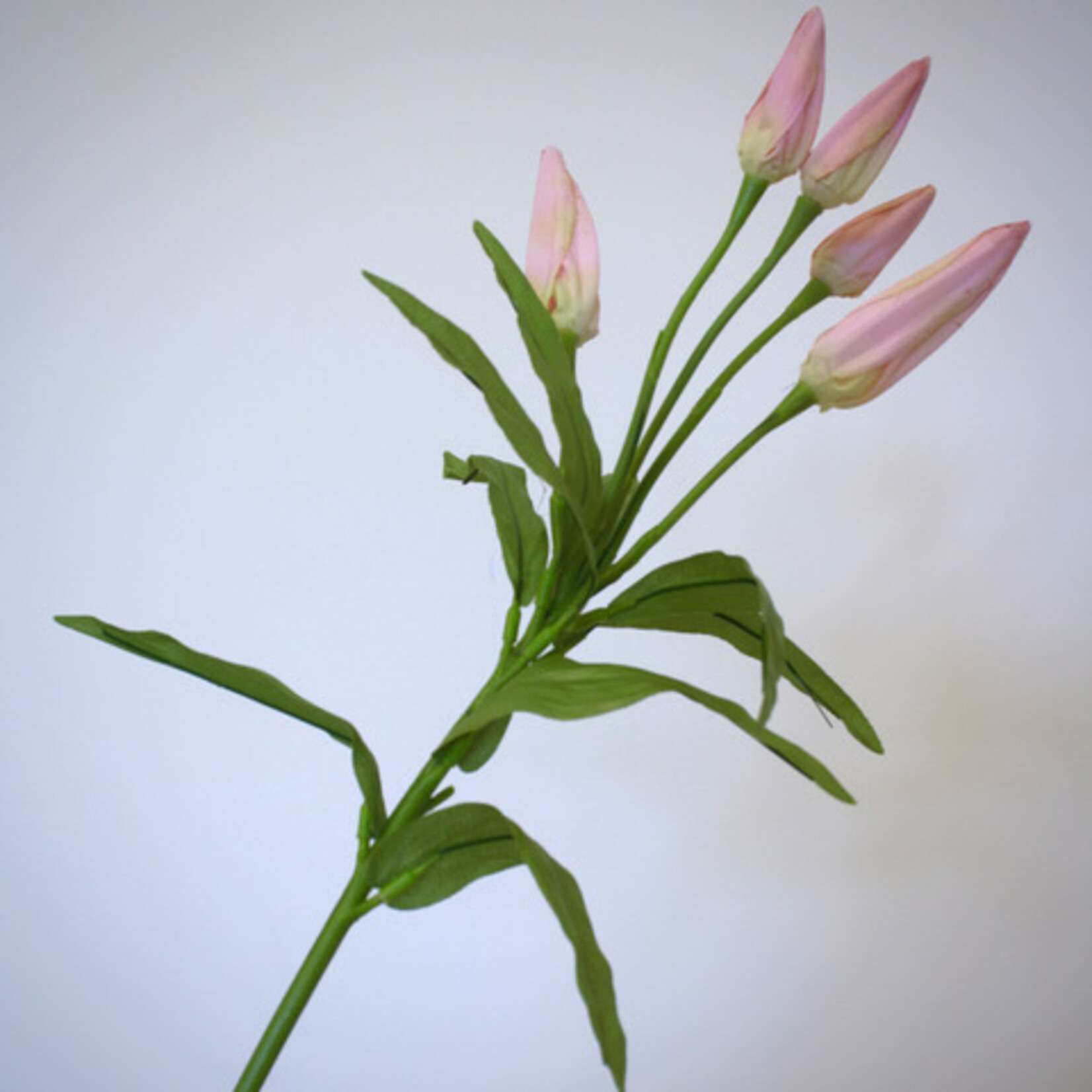 LILY IN BUD| PINK | 68 CM