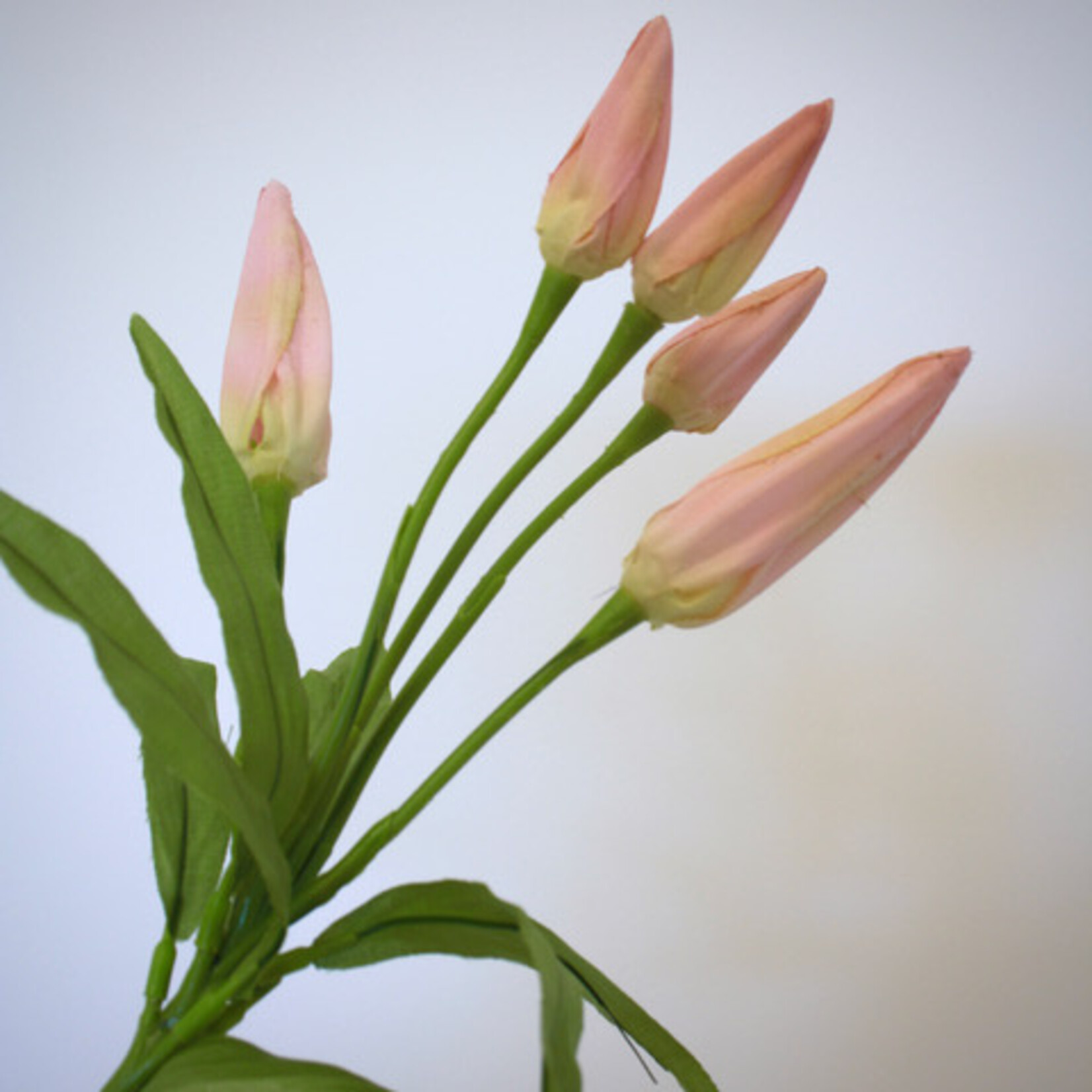 LELIE IN KNOP | ROZE | 68 CM