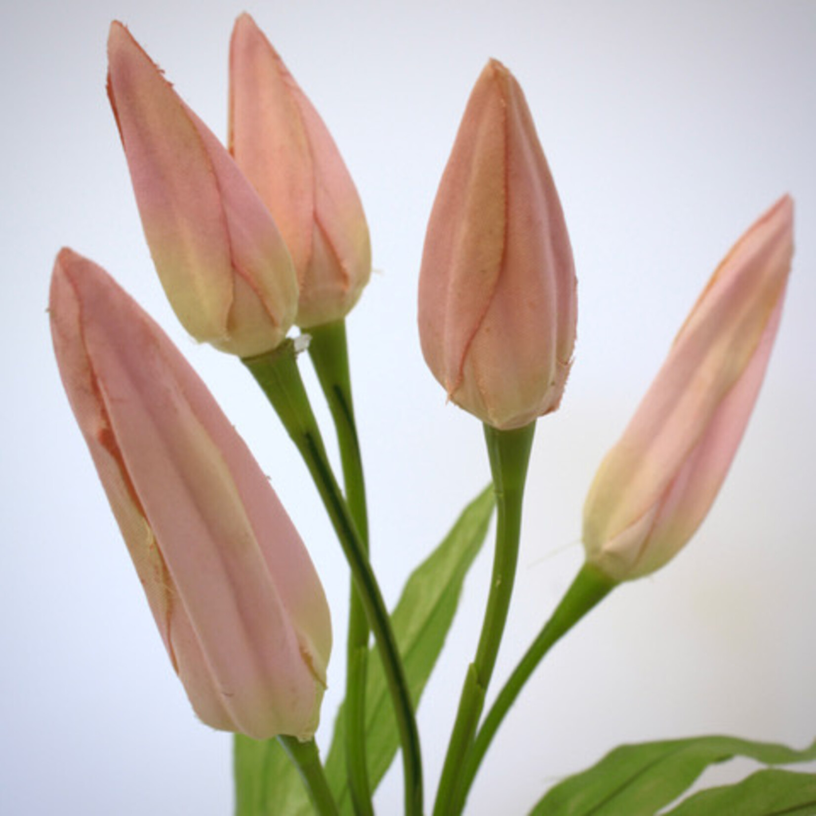 LELIE IN KNOP | ROZE | 68 CM