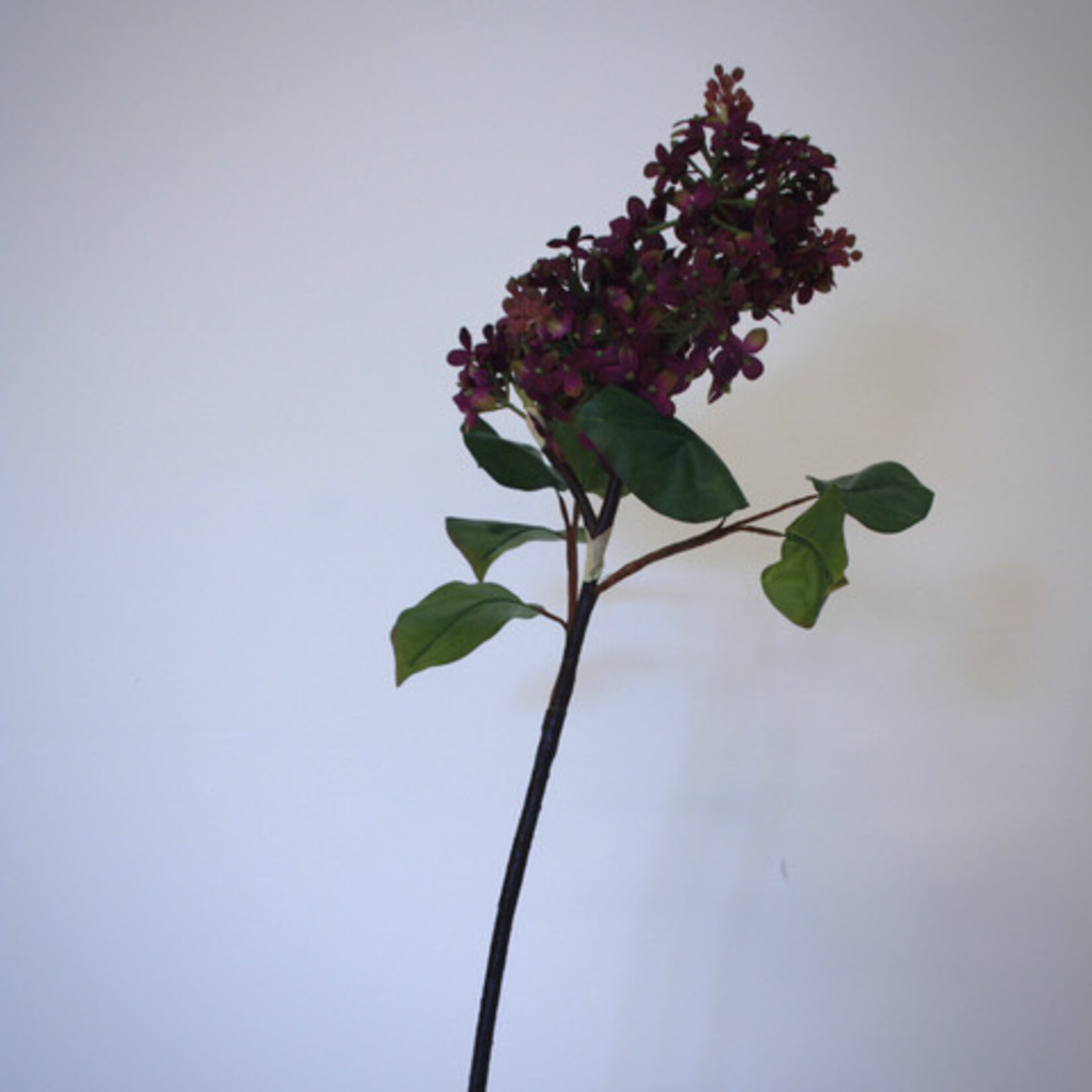 LILAC BRANCH CHARLES JOLY | PURPLE | 82 CM