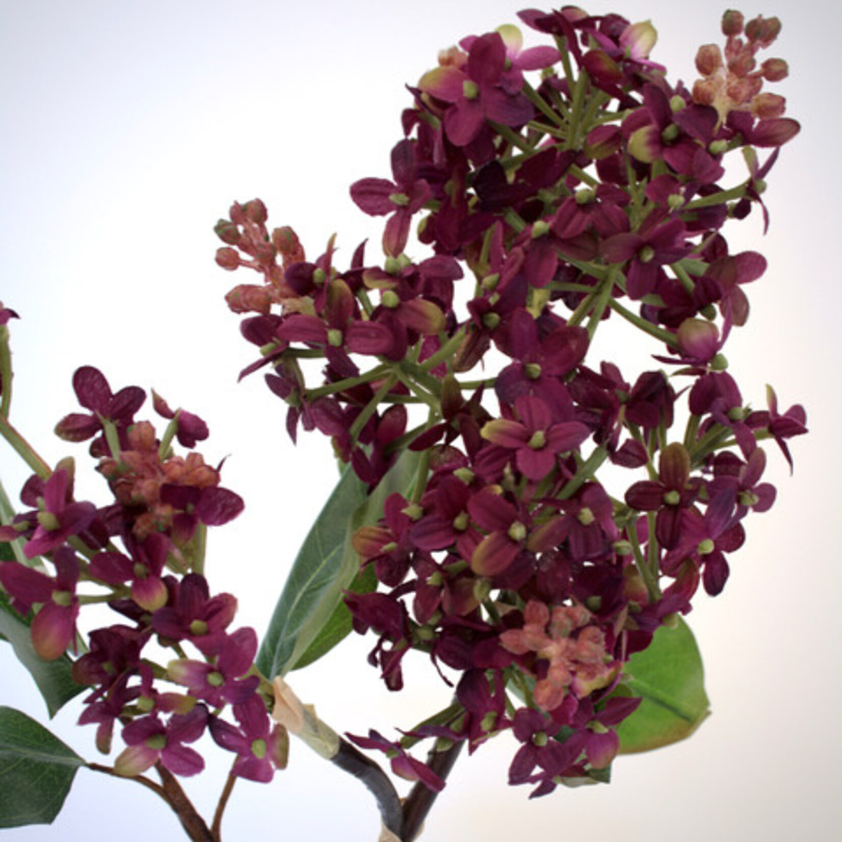 LILAC BRANCH CHARLES JOLY | PURPLE | 82 CM