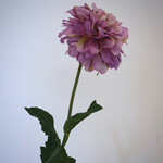 DAHLIA | LILA | 60 CM