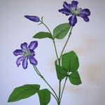 CLEMATIS | PURPLE | 73 CM
