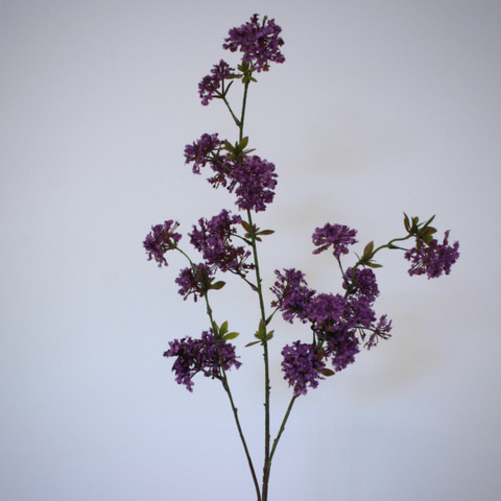 LACE FLOWER | PURPLE| 104 CM