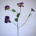 VIOLA | PAARS | 65 CM
