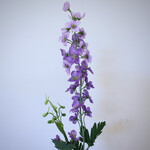 DELPHINIUM | PURPLE | 77 CM