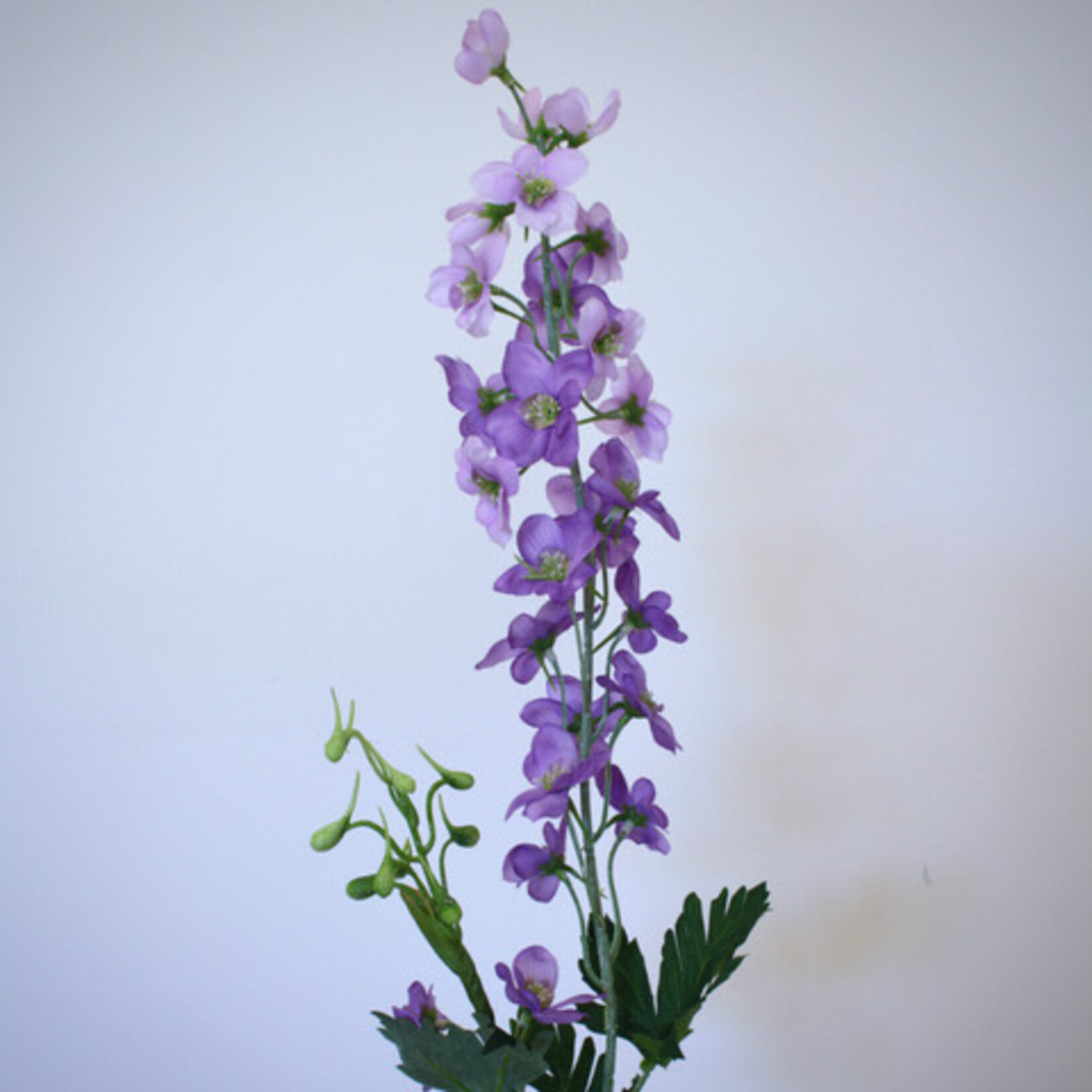 RIDDERSPOOR MAGIC FOUNTAIN | PAARS | 77 CM