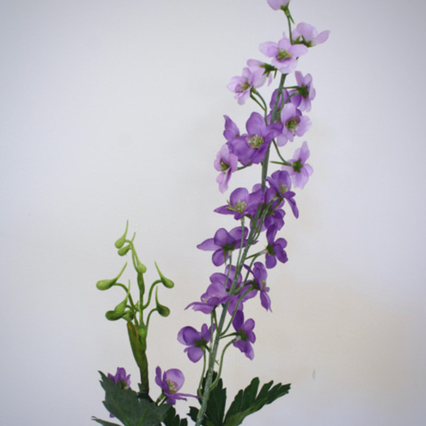 DELPHINIUM MAGIC FOUNTAIN | PURPLE | 77 CM