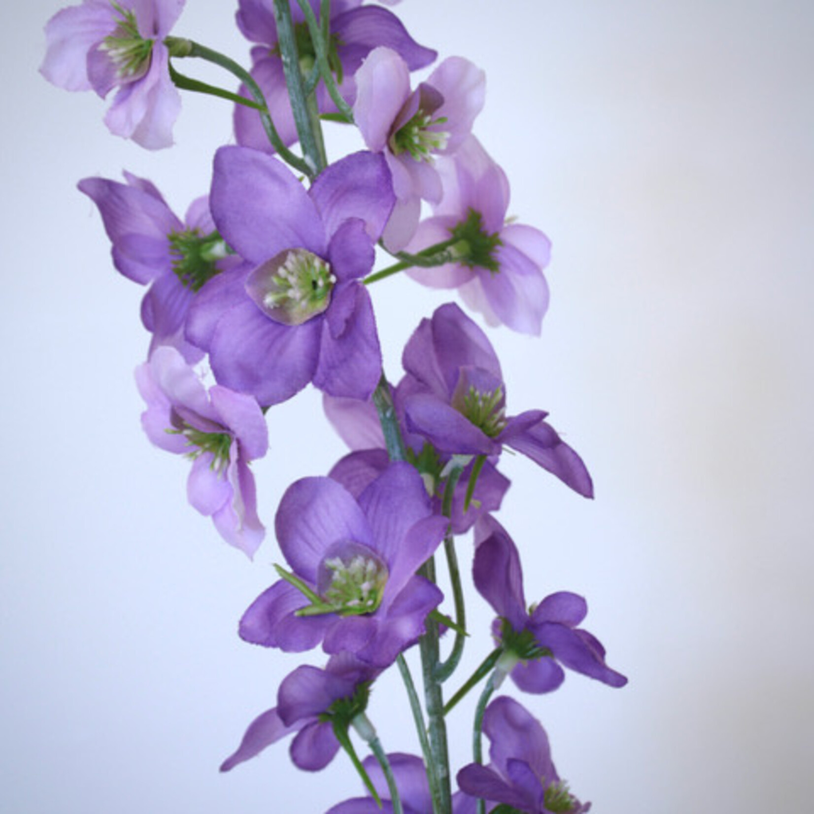 RIDDERSPOOR MAGIC FOUNTAIN | PAARS | 77 CM