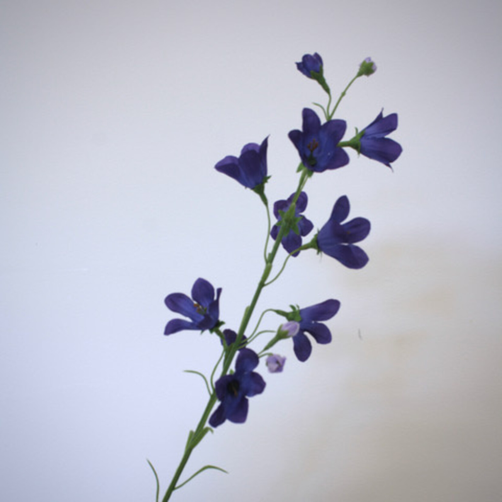 CAMPANULA | BLUE | 66 CM