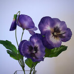 VIOLA | BLUE | 24 CM