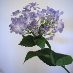HYDRANGEA | LILAC | 65 CM