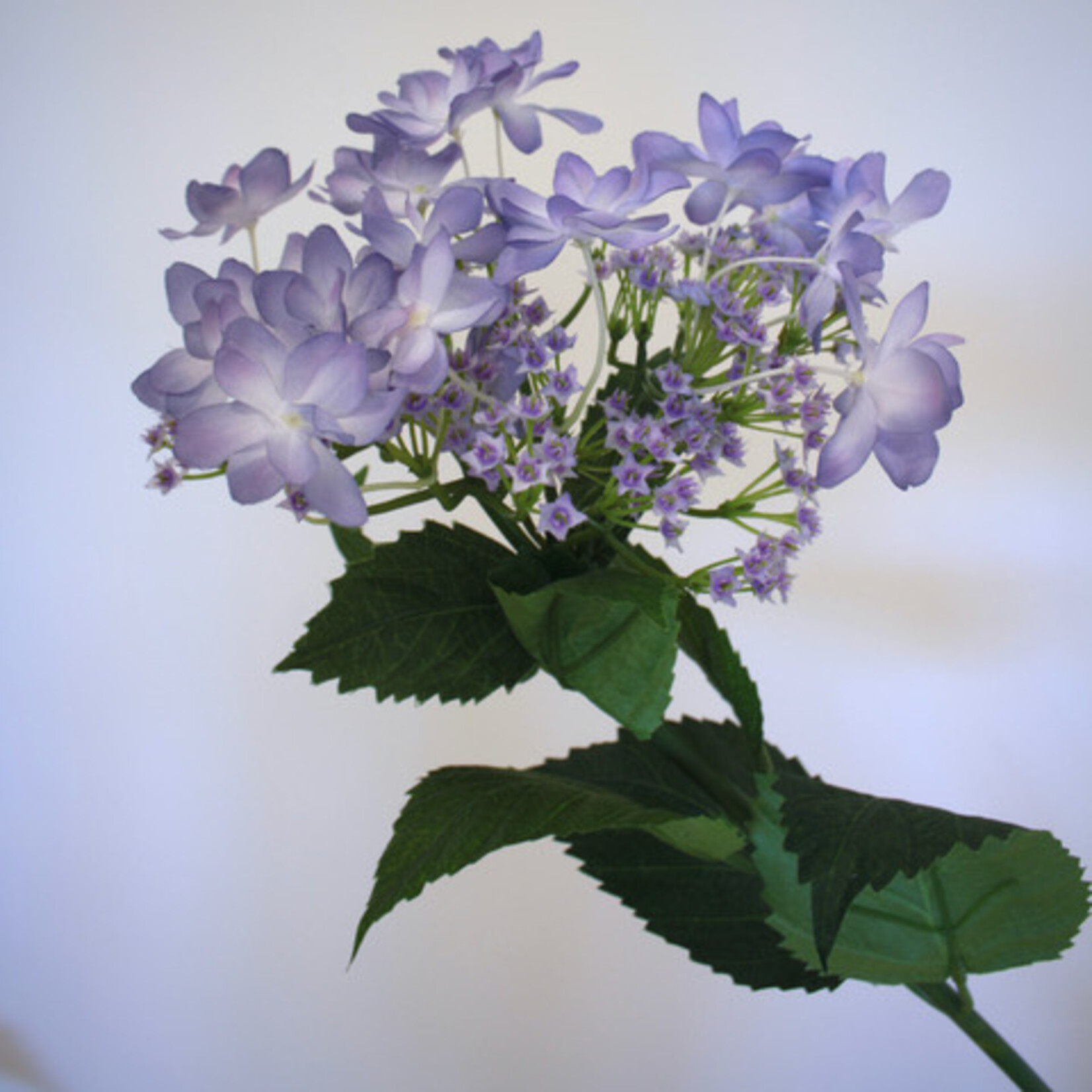 HYDRANGEA | LILAC | 65 CM