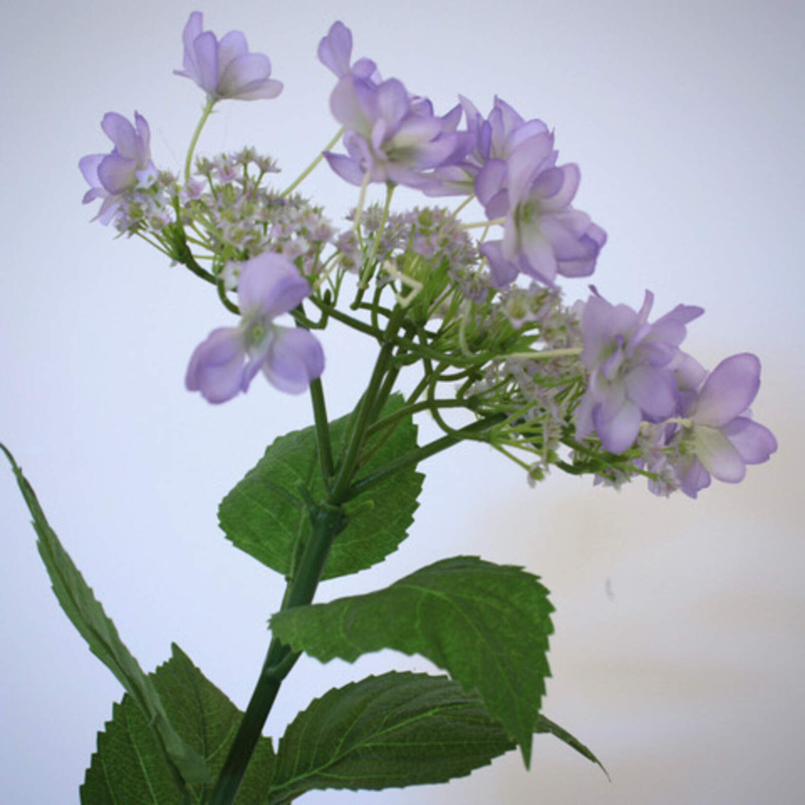 HORTENSIA | LILA | 65 CM