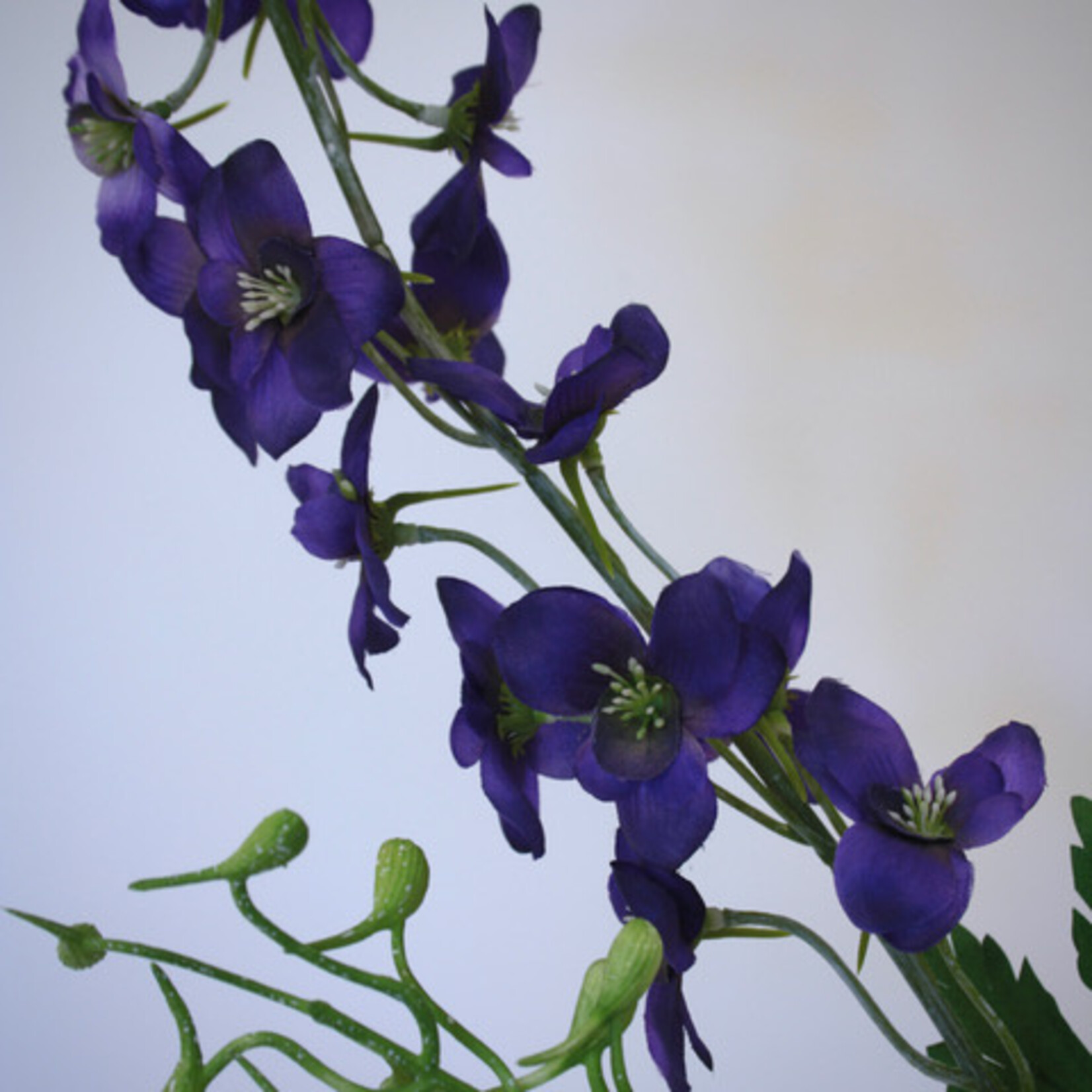 RIDDERSPOOR | BLAUW | 80 CM