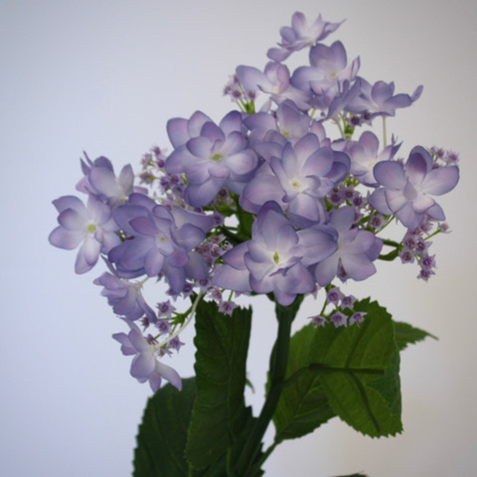 HYDRANGEA | LILAC | 65 CM