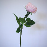 ROSE | LIGHT PINK | 60 CM
