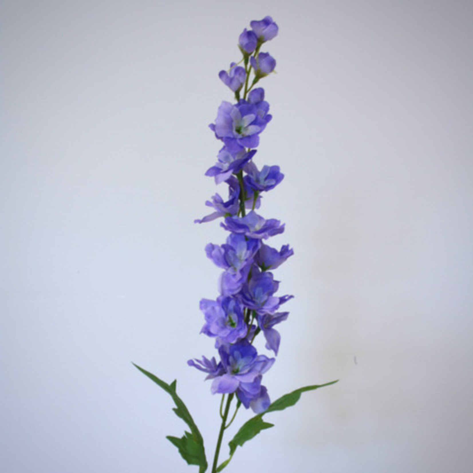 DELPHINIUM PEPE | PURPLE | 76 CM