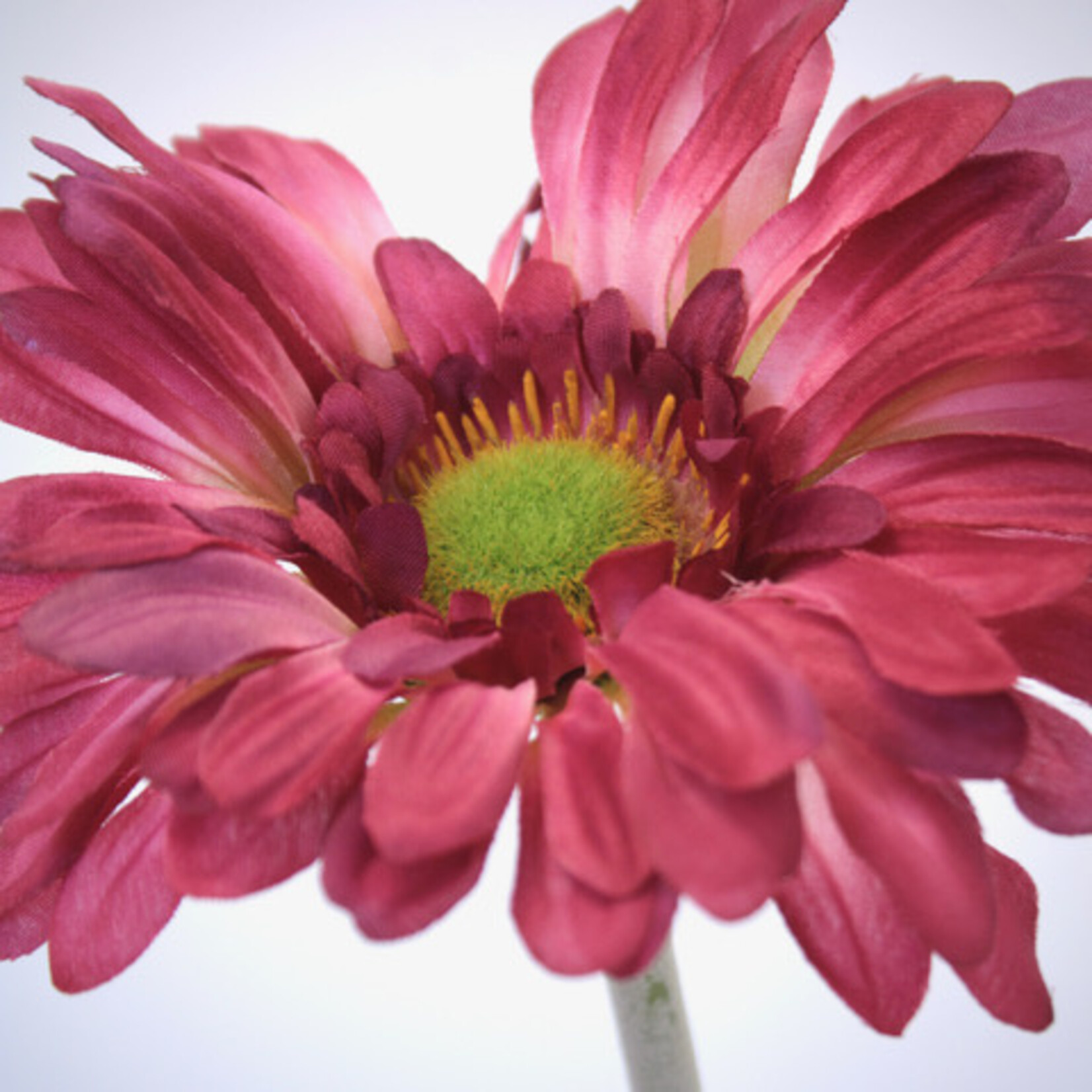 GERBERA DAISY | PINK | 60 CM