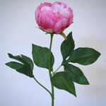 PEONY | PINK | 58 CM