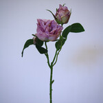 ROSE | LILAC | 58 CM