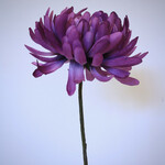 CHRYSANTHEMUM | PURPLE | 58 CM