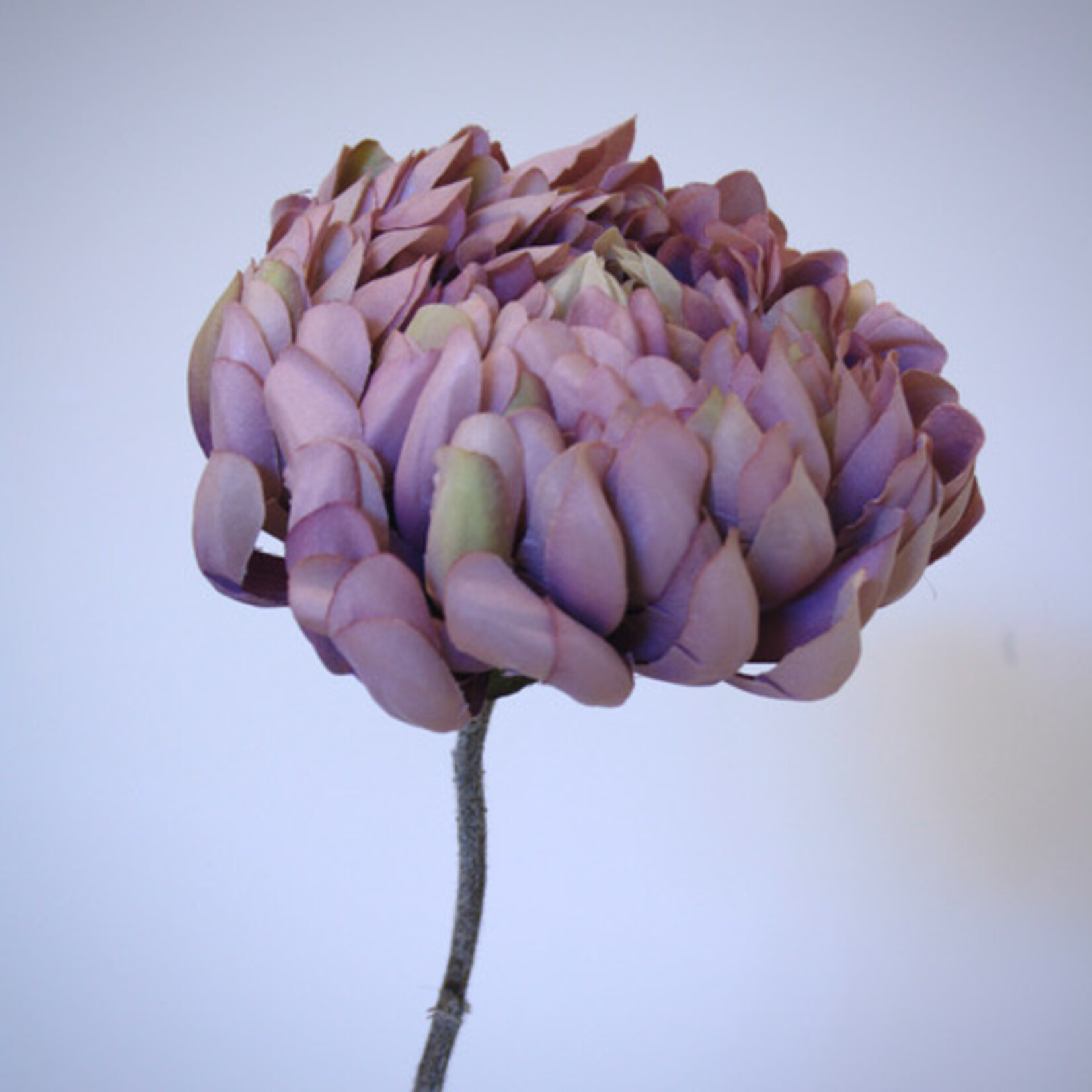 CHRYSANTHEMUM ANTIQUE| LILAC | 57 CM