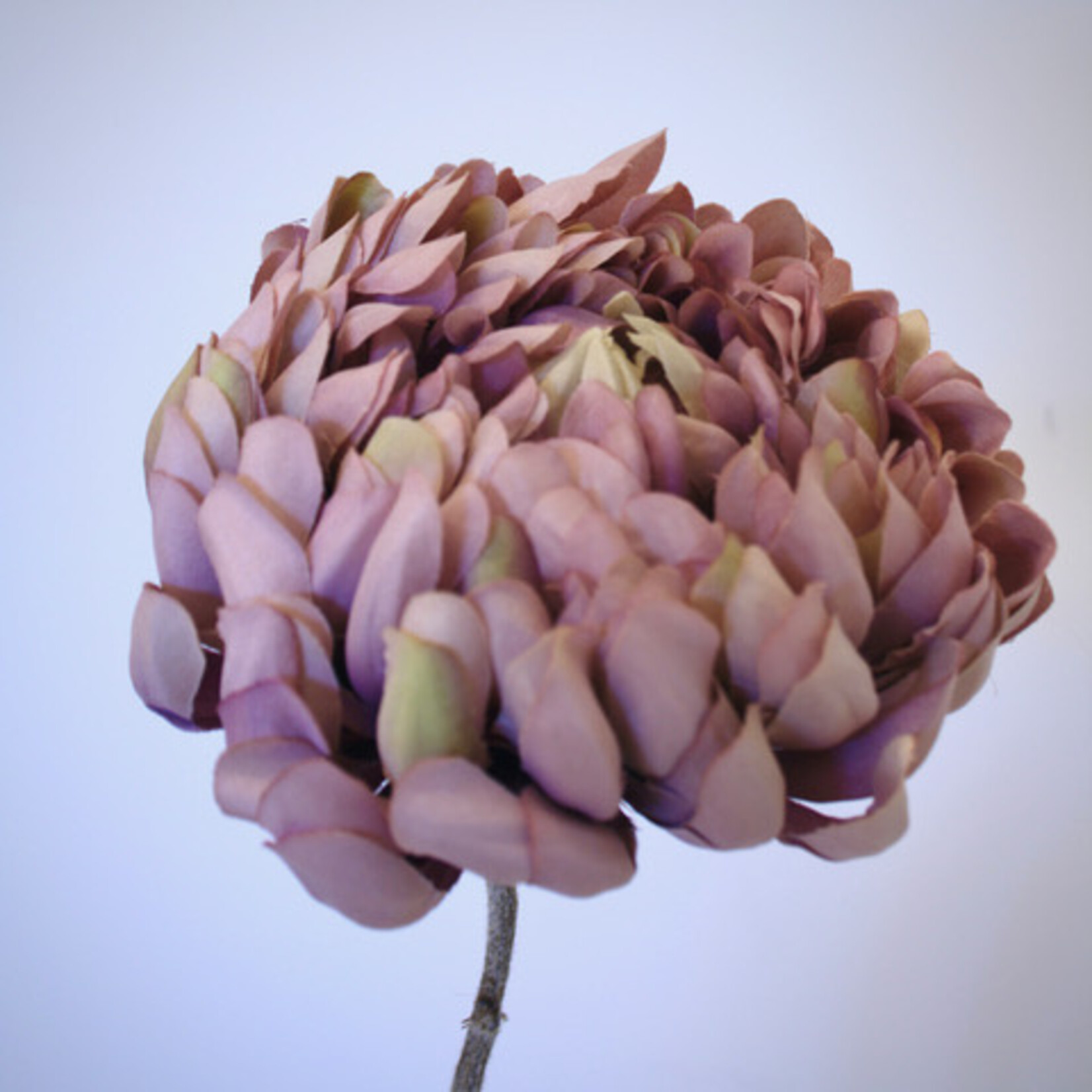 CHRYSANTHEMUM ANTIQUE| LILAC | 57 CM