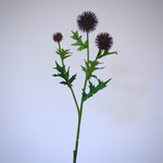 THISTLE | BROWN PURPLE | 70 CM