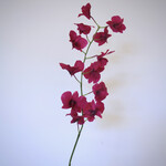 ORCHID | PINK | 90 CM