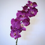 ORCHIDEE | ROZE | 78 CM