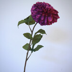 DAHLIA | PURPLE|  90 CM