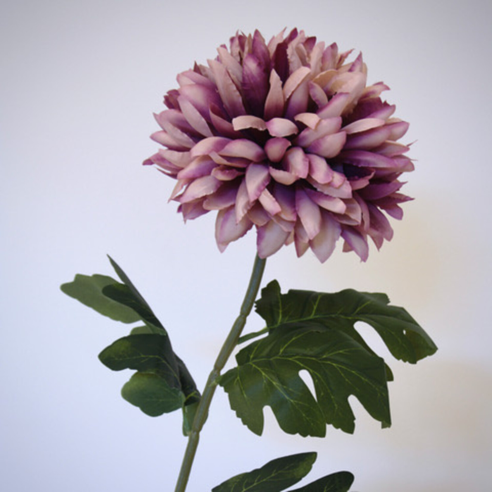 CHRYSANT | LILA | 75 CM