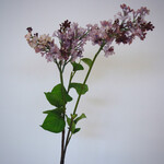 SERING TAK | LAVENDEL | 100 CM