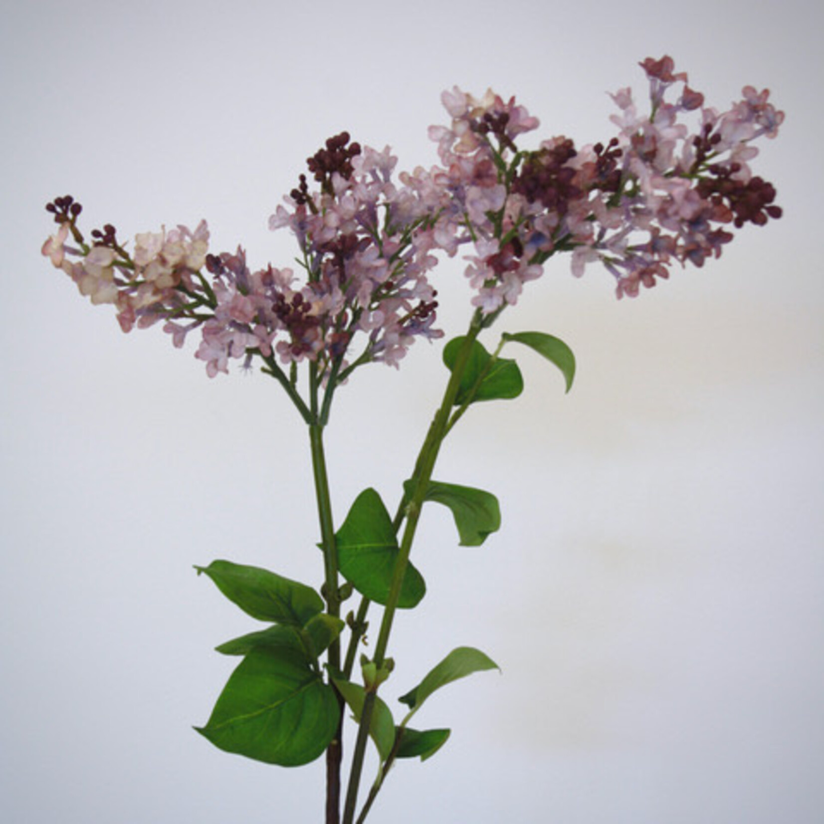 LILAC BRANCH LADY LILAC | LAVENDER | 100 CM