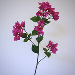 BOUGAINVILLEA | PINK  | 91 CM
