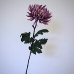 CHRYSANTHEMUM | LILAC | 82 CM
