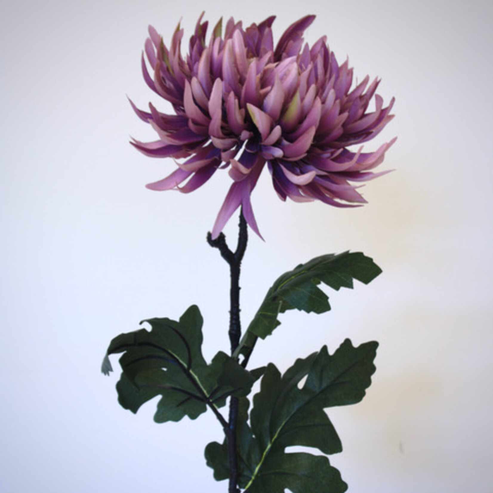 CHRYSANT LARGE | LILA | 82 CM