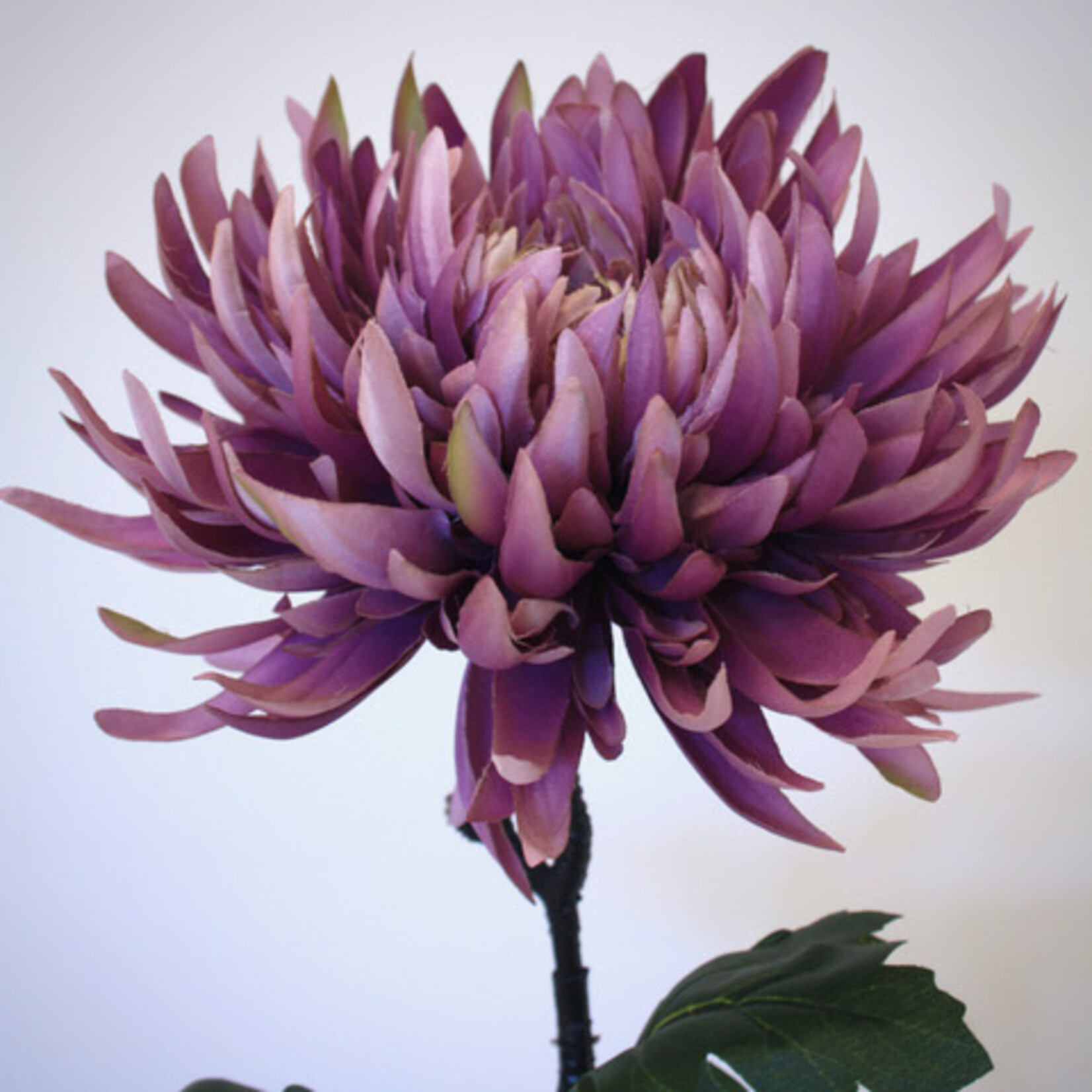 CHRYSANT LARGE | LILA | 82 CM