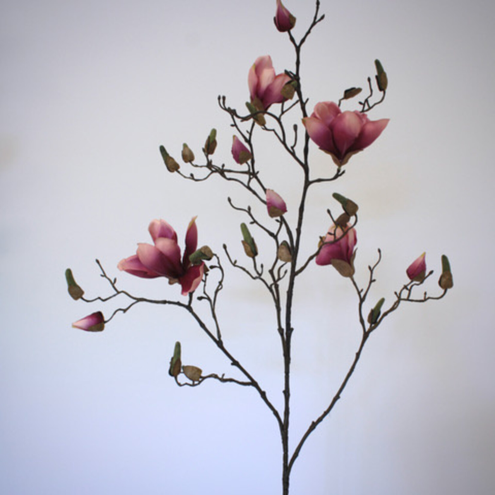 MAGNOLIA TAK GENIE | ROZE | 107 CM
