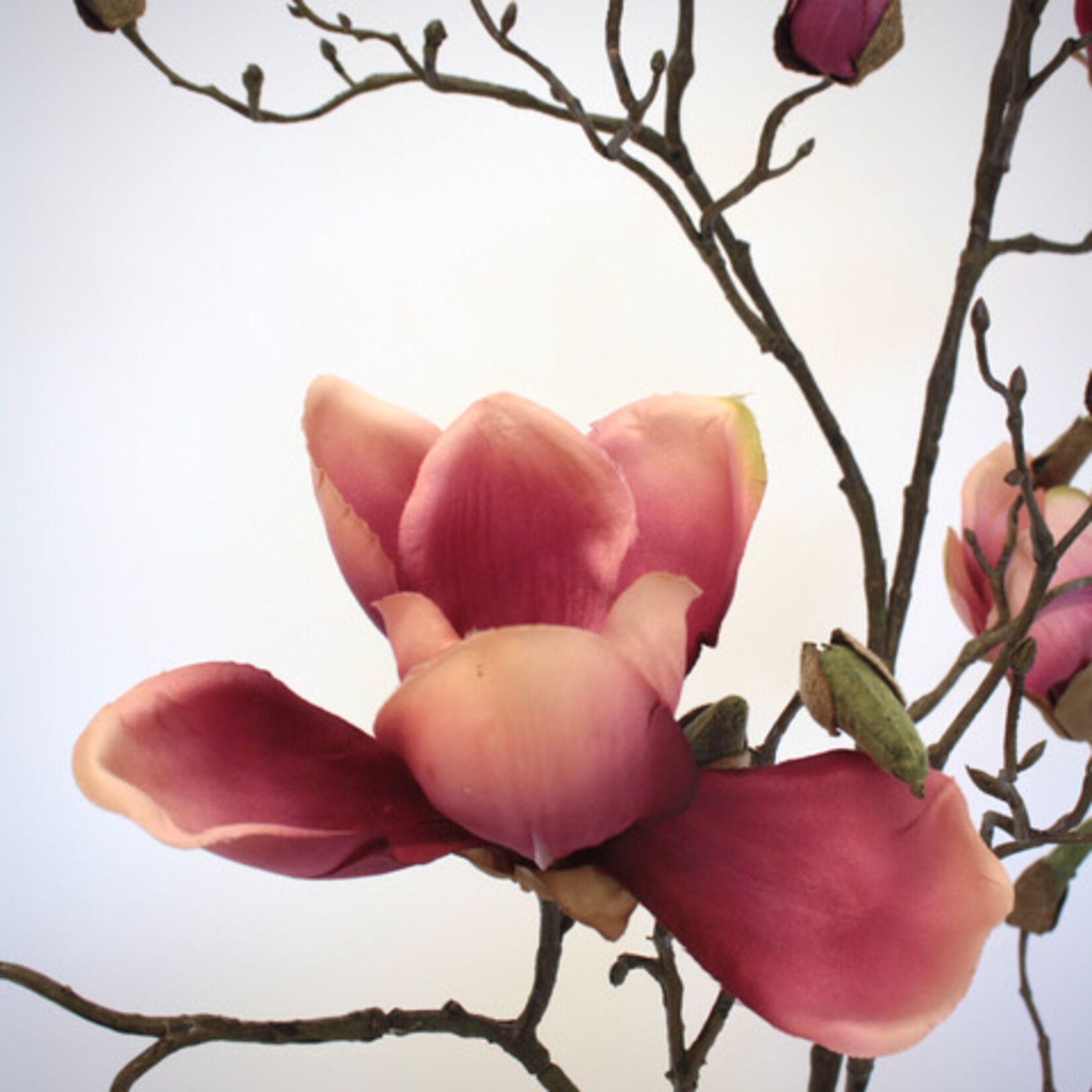 MAGNOLIA SPRAY GENIE | PINK | 107 CM
