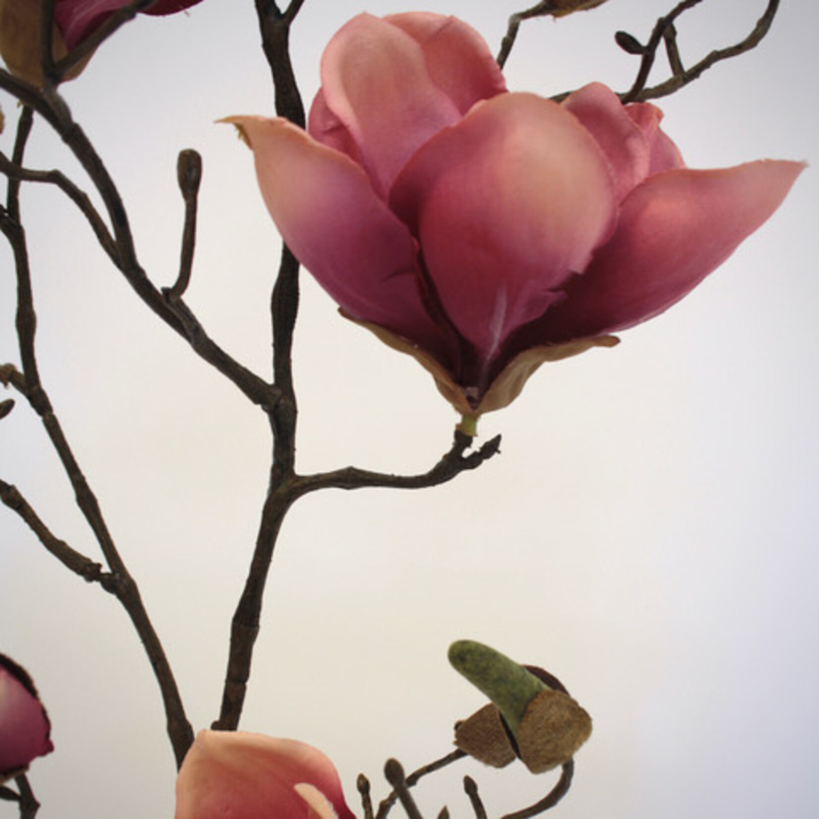 MAGNOLIA TAK GENIE | ROZE | 107 CM