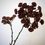 SEDUM SPRAY | PINK | 49 CM