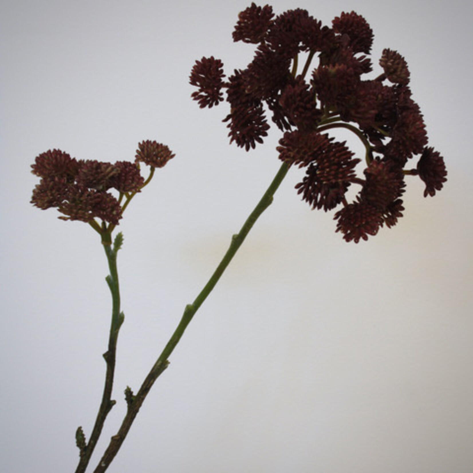 SEDUM SPRAY | PINK | 49 CM