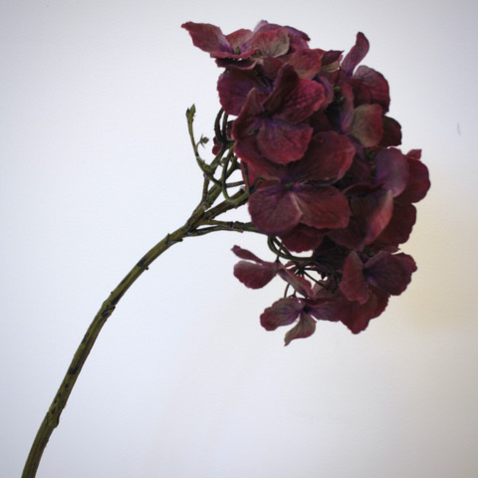 HYDRANGEA | BURGUNDY PURPLE | 50 CM